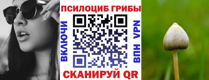 Псилоцибиновые грибы Magic Shrooms  Менделеевск 